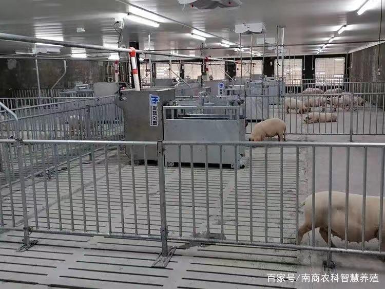 南商农科智能养殖设备丨科研先行,抢占智能养殖设备服务领域高地